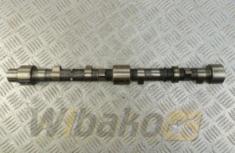 Nockenwelle für Motor Perkins 1004 3141D131