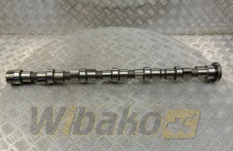 Nockenwelle für Motor Cummins QSB6.7 3979506