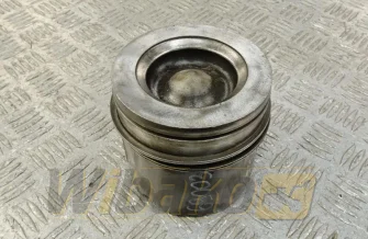 Kolben des Motors Cummins 61BZ254