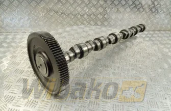 Nockenwelle für Motor Deutz BF6M1013 04255458