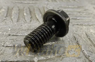 M8x1.25x12 für Motor Iveco 8065.25T 4798844