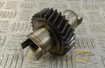 Z=29 für Motor Iveco 8065.25T 500331507
