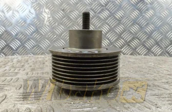 Zwischen-Umlenkrolle Cummins 3400884