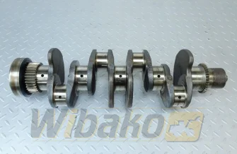 Kurbelwelle Cummins 4934251