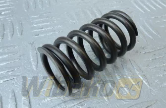 Sprężyna zaworu głowicy für Motor Deutz TCD2013 04200150
