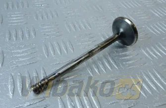 für Motor Deutz TCD2013 04290025