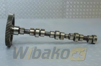 Nockenwelle für Motor Cummins 3.9 3968381