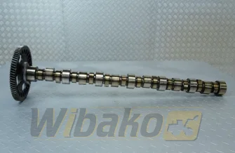 Nockenwelle für Motor Cummins ISME 4022816