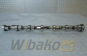 Nockenwelle für Motor Cummins ISBE5.9 4896420