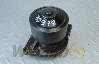 Wasserpumpe Cummins 3800984
