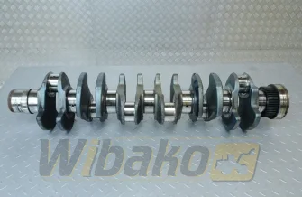 Kurbelwelle für Motor Deutz BF6M1013 02929571