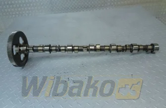Nockenwelle für Motor Cummins 8.3 3924471