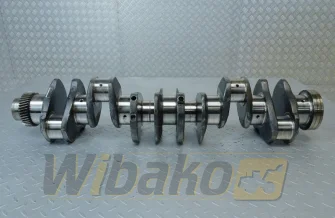 Kurbelwelle für Motor Case 6T-830 3917320