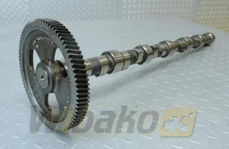 Nockenwelle Cummins 3923478