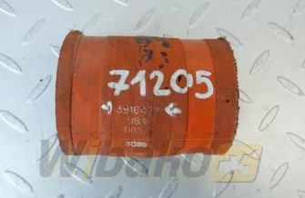  Cummins 3916437