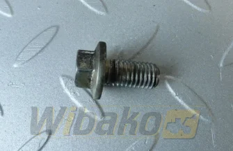 M10x20 Deutz 01181393