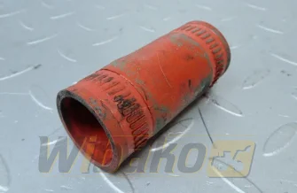  Cummins 217302