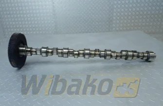 Nockenwelle für Motor Deutz BF6M1013 04202613