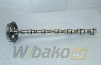 Nockenwelle für Motor Cummins 5.9 3929886