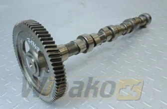 Nockenwelle für Motor Cummins 3.9 3929885