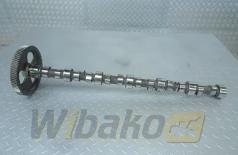 Nockenwelle für Motor Cummins 8.3 3924471