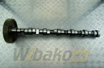 Nockenwelle BF Original 20100520136