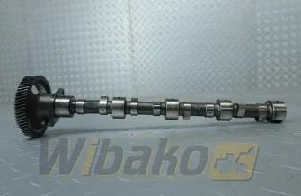 Nockenwelle für Motor Kubota V2403 1A091-16010