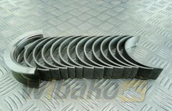 Hauptlager STD Kolbenschmidt 77798600
