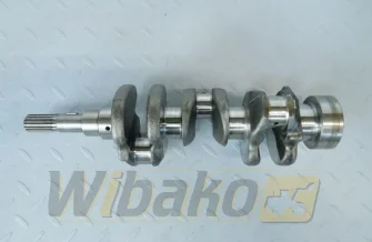 Kurbelwelle für Motor Kubota D722 16861-23012