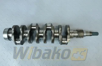 Kurbelwelle für Motor Kubota V2203 1G790-23010
