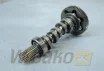 Nockenwelle pompy wtryskowej für Motor Kubota V2203 1G796-16020 – gebraucht