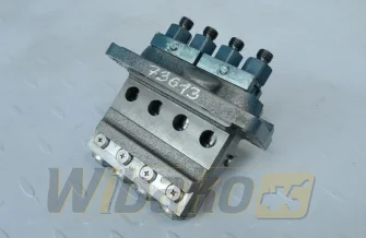 Einspritzpumpe kasetowa für Motor Kubota V2403 1G762-51010