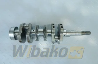 Kurbelwelle für Motor Kubota D1703 1A051-23010