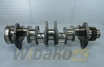 Kurbelwelle für Motor Cummins 3.9 3929036