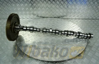 Nockenwelle BF Original 20100390601