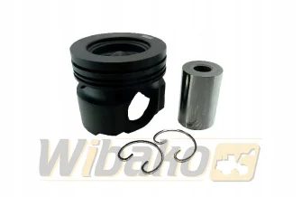 Kolben des Motors STD wbk 10146366