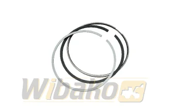 Kolbenringe wbk D9508 10029877/10131564/10029880