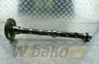 Nockenwelle für Motor Cummins B3.3 6204-41-1210