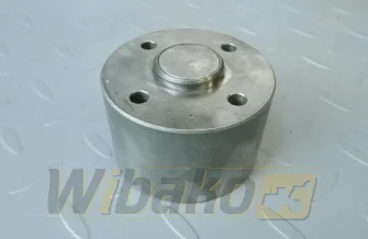 H= 43 mm für Motor Kubota V2003 