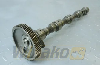 Nockenwelle für Motor Kubota V2003 17343-16010