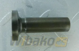 für Motor Cummins B3.3 C6204412110