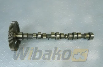 Nockenwelle für Motor Cummins 3.9 3925582