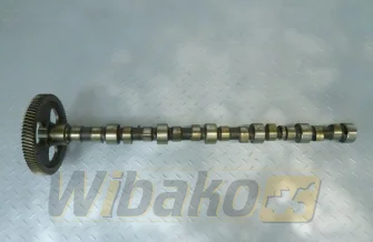 Nockenwelle für Motor Cummins 8.3 3924471