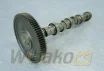 Nockenwelle für Motor Deutz BF4M2012 04513674 – gebraucht