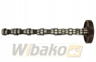 Nockenwelle BF Original 20100520136
