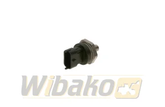 Drucksensor Bosch 0281006119