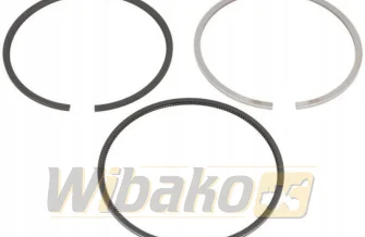 Kolbenringe STD Kolbenschmidt 800076010000