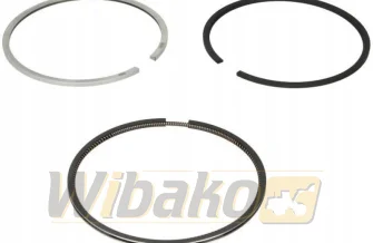 Kolbenringe STD Kolbenschmidt 800071110000