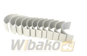 Pleuel Kurbelwelle WIBAKO M11/LT10 3016762