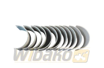 Pleuel Kurbelwelle WIBAKO 6CT8.3 3950663
